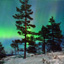 Fly billig til Kittila (KTT) - Finland