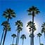Fly billig til Florida-Orlando (MCO) - USA