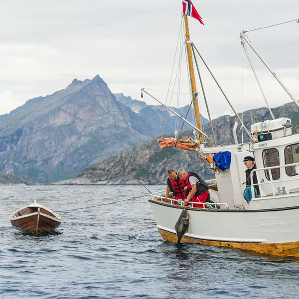 "Fiskere ute og fisker i Tromsø"