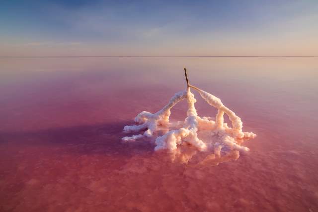 Nærbilde av saltformasjon i den rosa sjøen