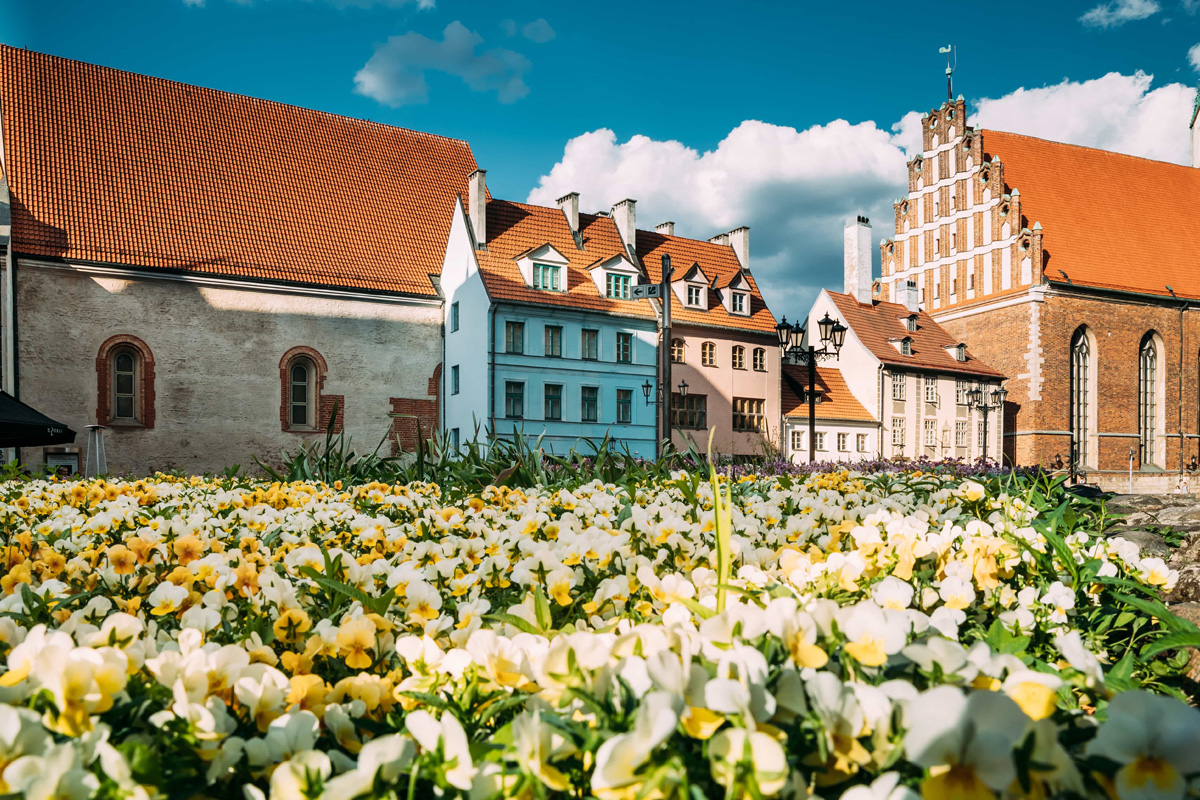 blomstereng foran gamle bygninger