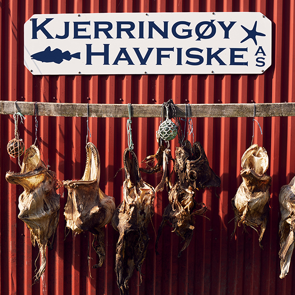 Fiskeskjellett hengende på en rødmalt vegg