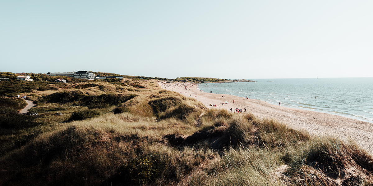 En sandstrand med hav, horisont og en åskam