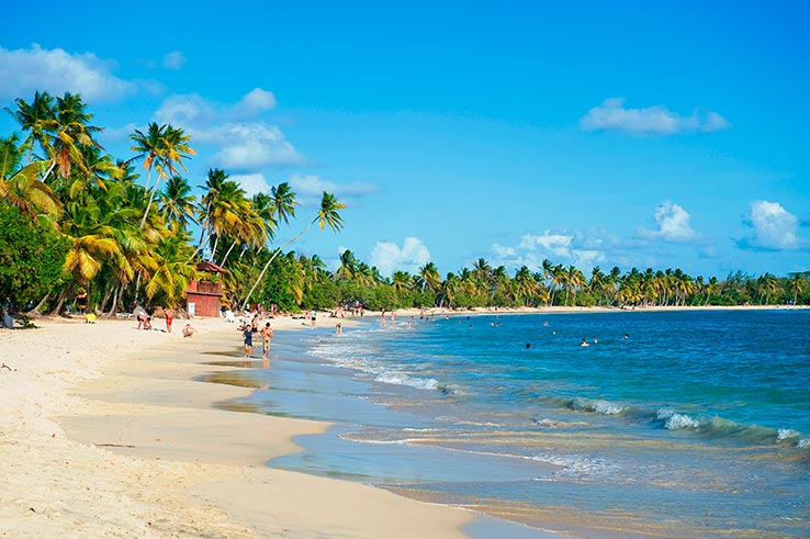 Fly til Martinique, slapp av på stranden Les Salines.